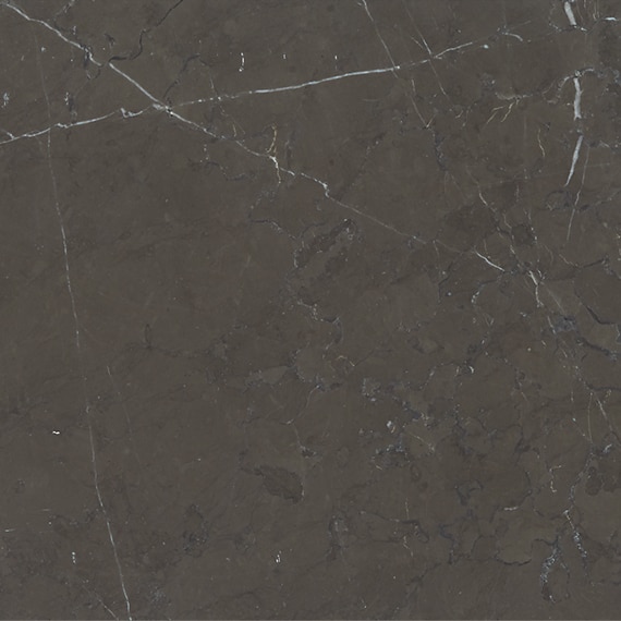 Antico Scuro M049 Tile